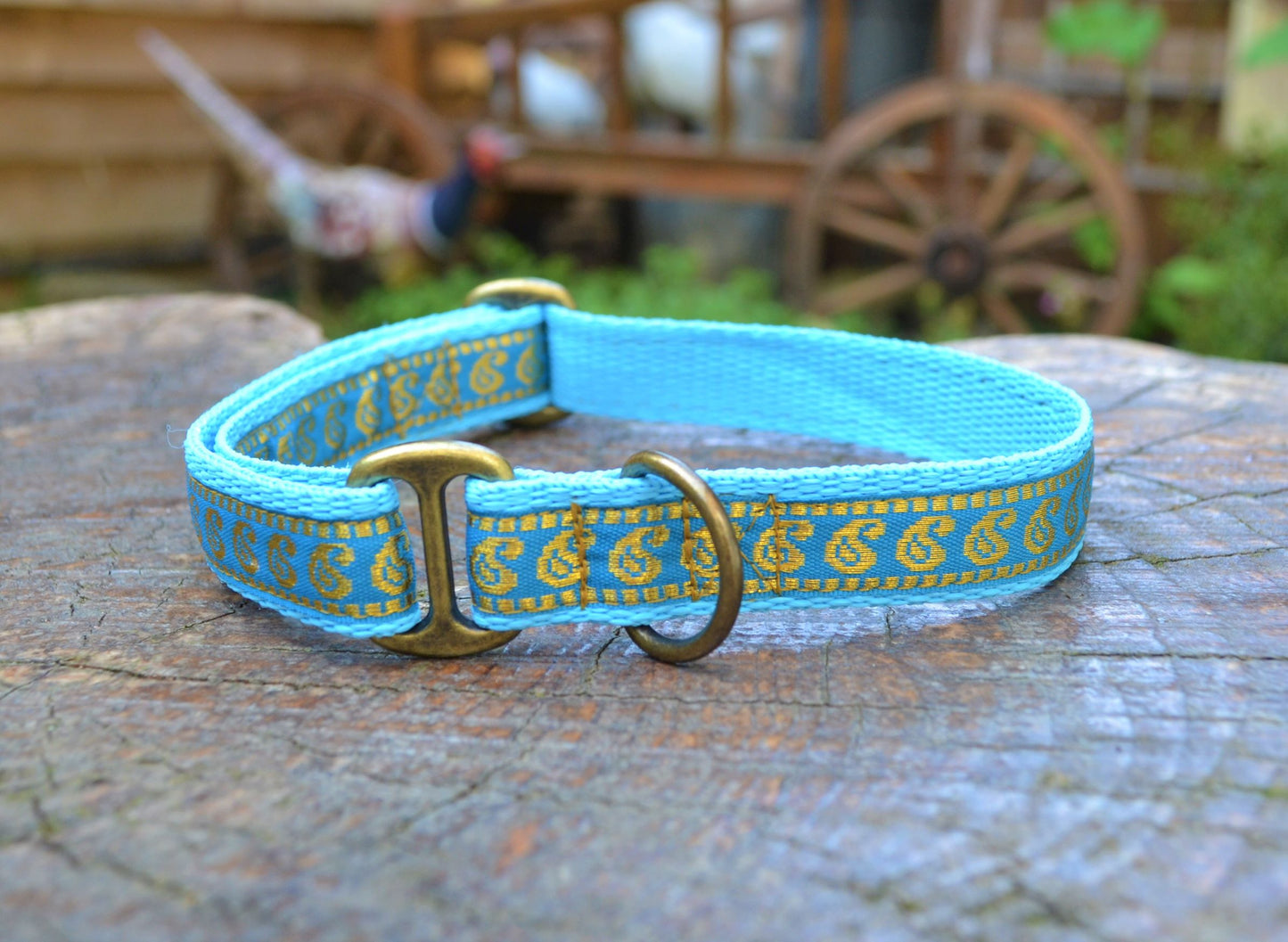 Blue/Gold Indian Paisley Pattern House Collar