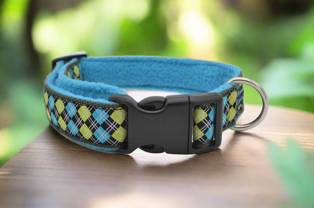 Blue/Green Argyle Pattern Collar