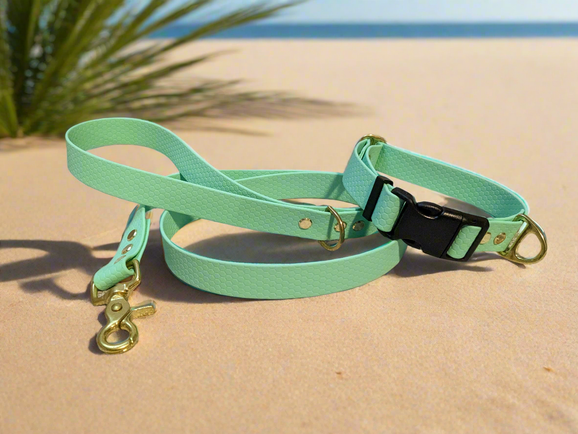 Caribbean Green Waterproof Coated Webbing Collar & Lead Set 25mm