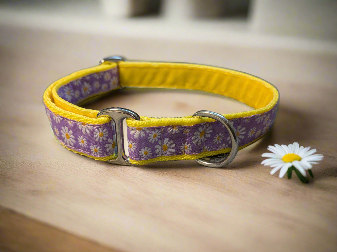Purple/Yellow Daisy Floral House Collar