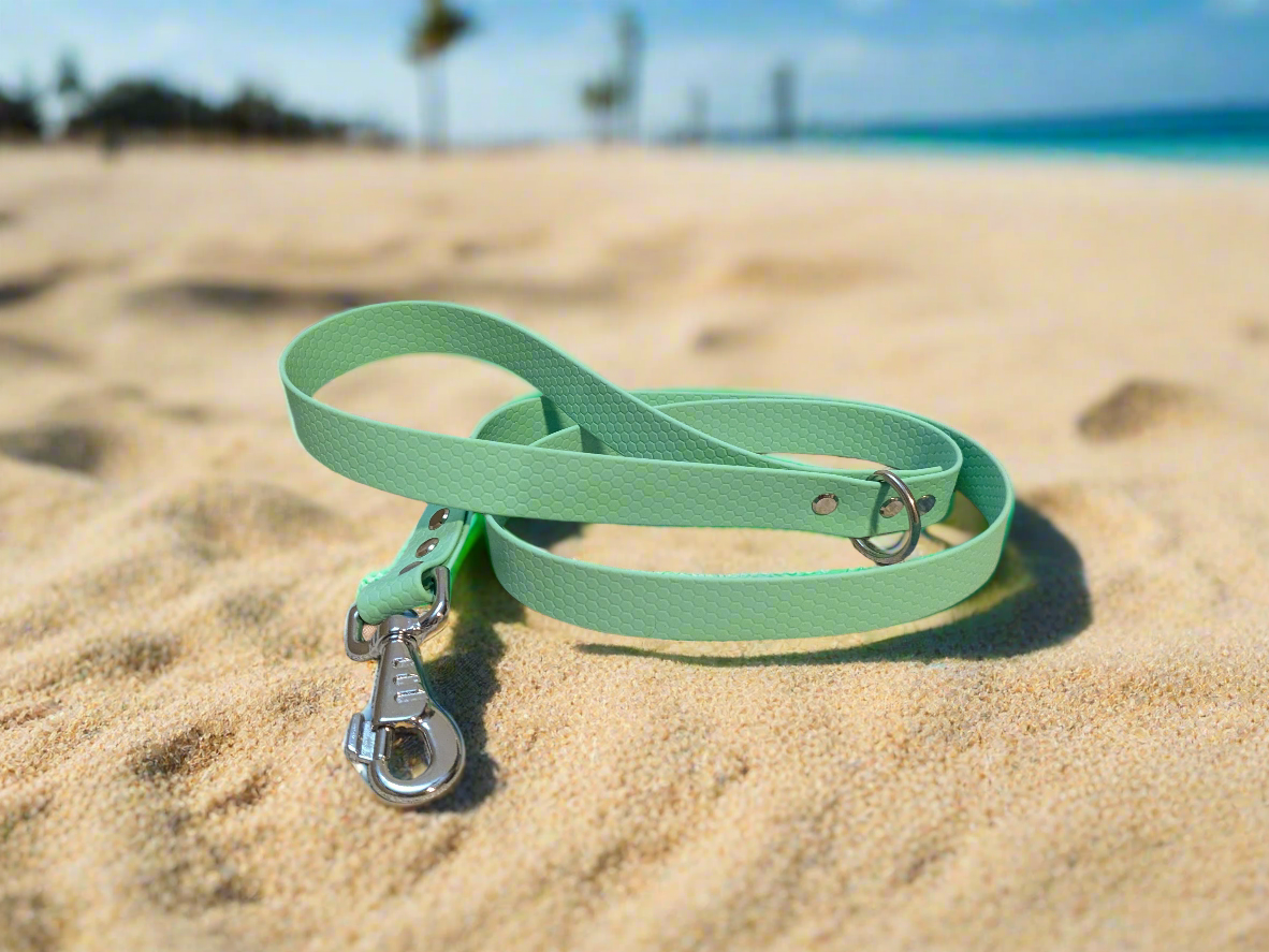 Caribbean Green Waterproof Coated Webbing Lead 25mm