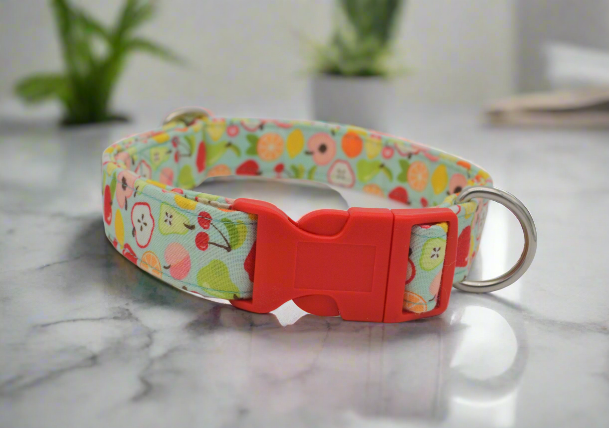 Fruit Fabric Lewis & Irene Collar & Lead Set