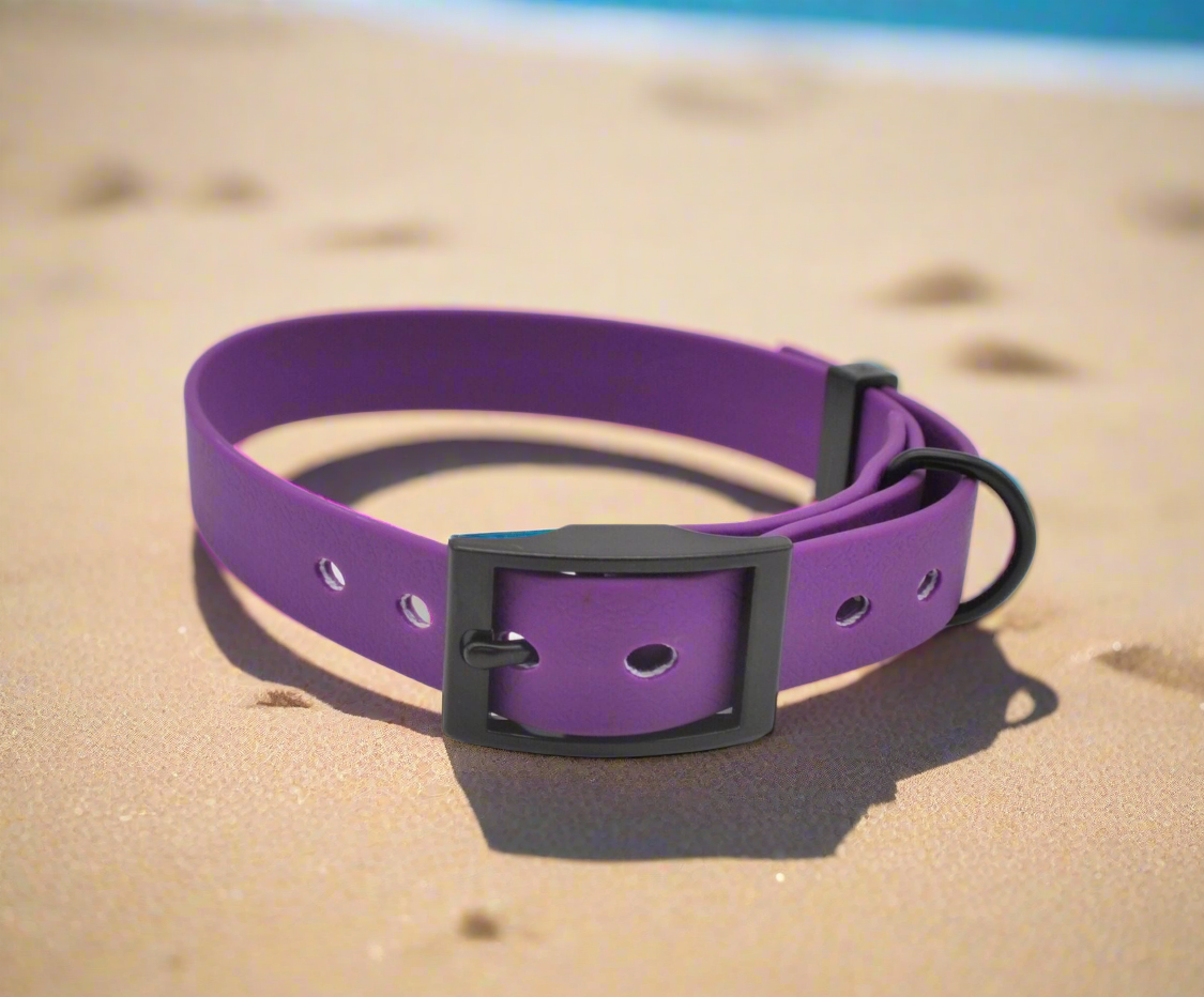 Purple Waterproof Coated Webbing Collar 20mm Brass, Silver or Black