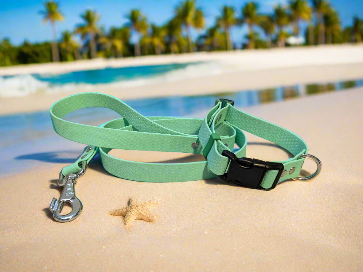 Caribbean Green Waterproof Coated Webbing Collar & Lead Set 25mm