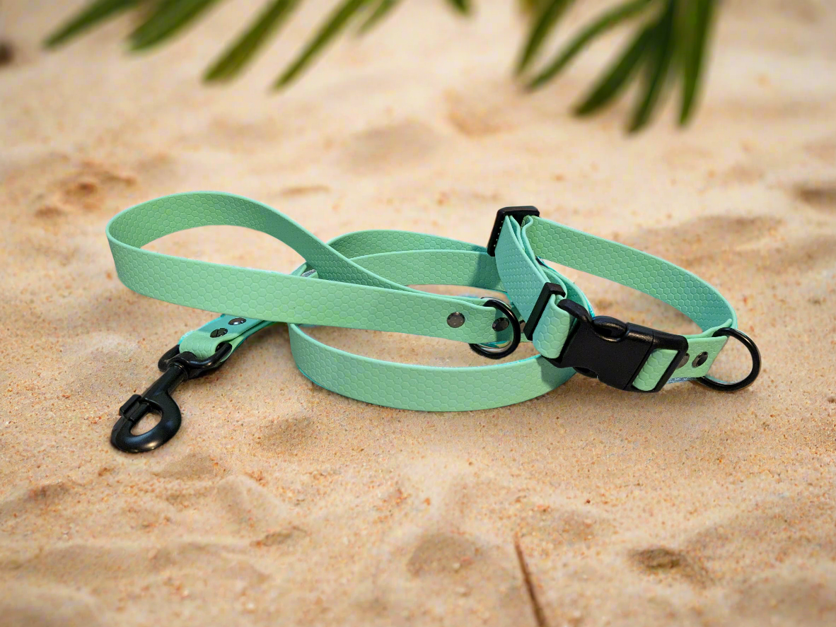 Caribbean Green Waterproof Coated Webbing Collar & Lead Set 25mm