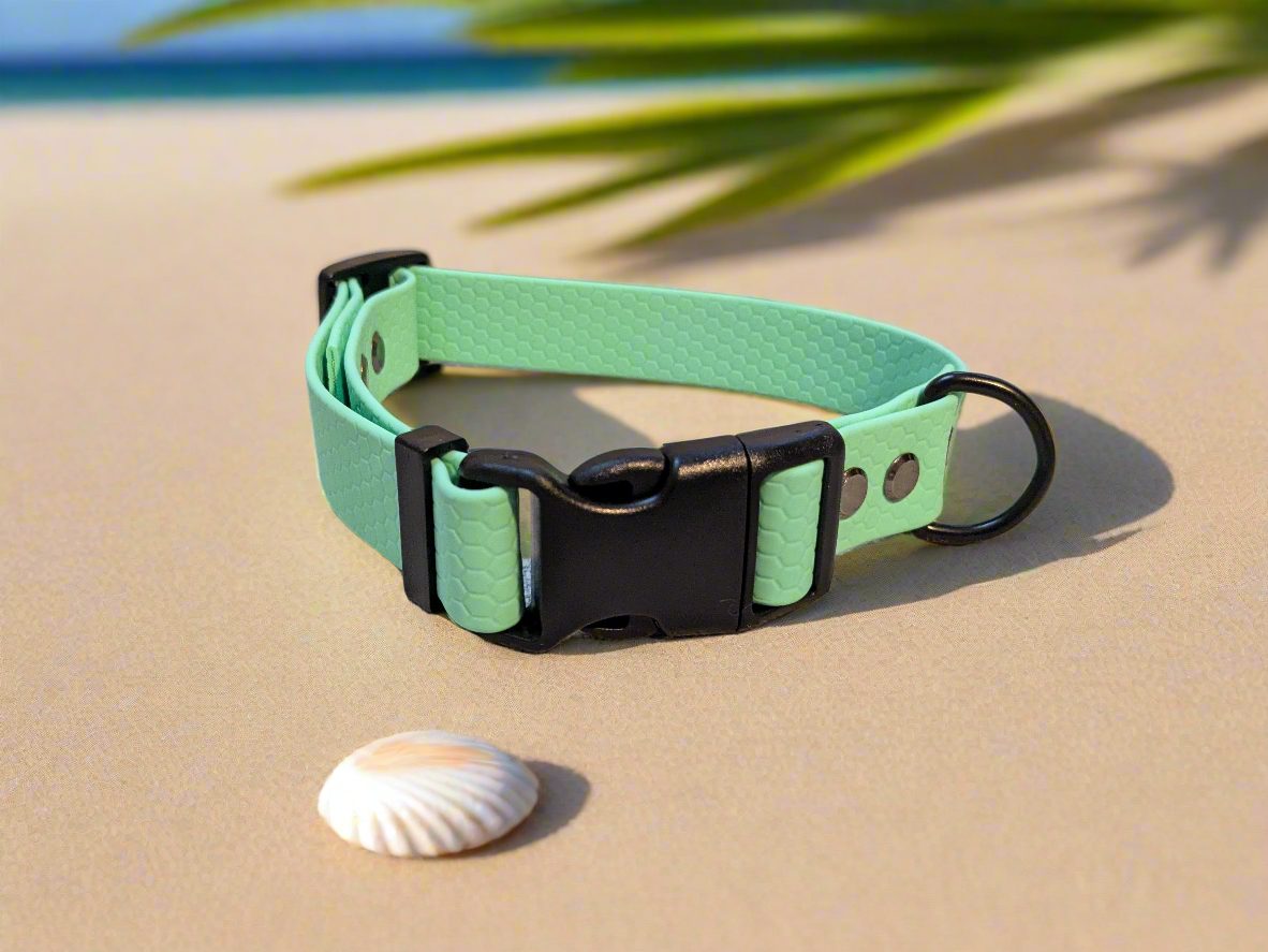 Caribbean Green Waterproof Coated Webbing Collar & Lead Set 25mm
