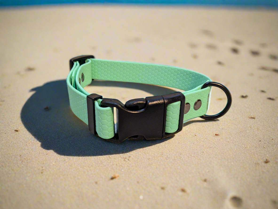 Caribbean Green Waterproof Coated Webbing Buckle Collar 25mm