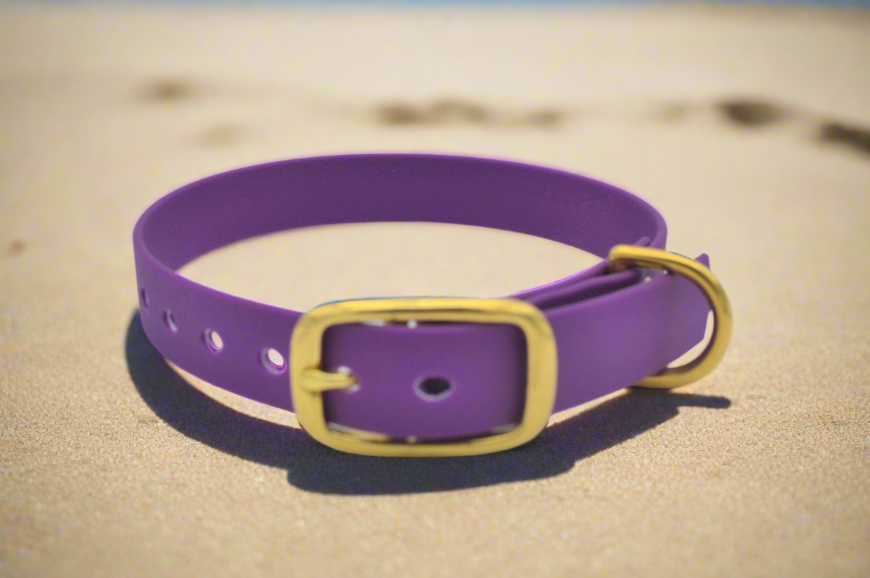 Purple Waterproof Coated Webbing Collar 20mm Brass, Silver or Black