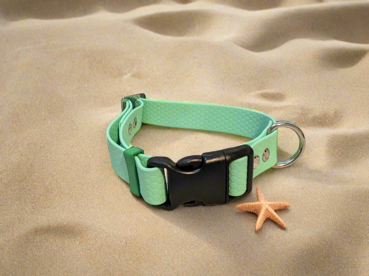 Caribbean Green Waterproof Coated Webbing Buckle Collar 25mm