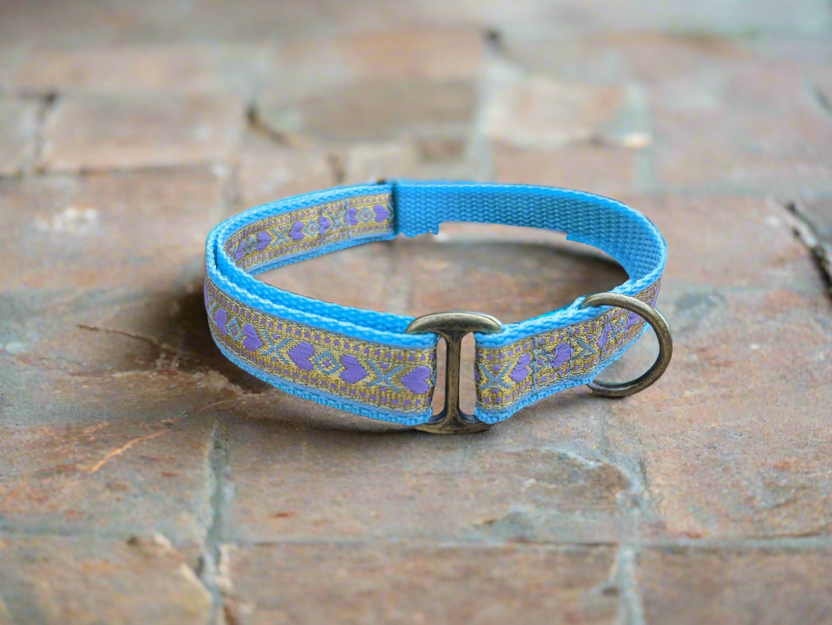 Blue/Gold Hearts Pattern House Collar Valentine's