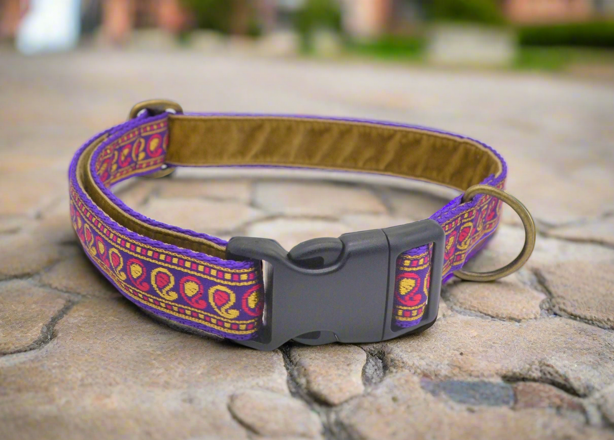 Purple/Pink & Gold Indian Paisley Pattern Collar (Antique Brass)