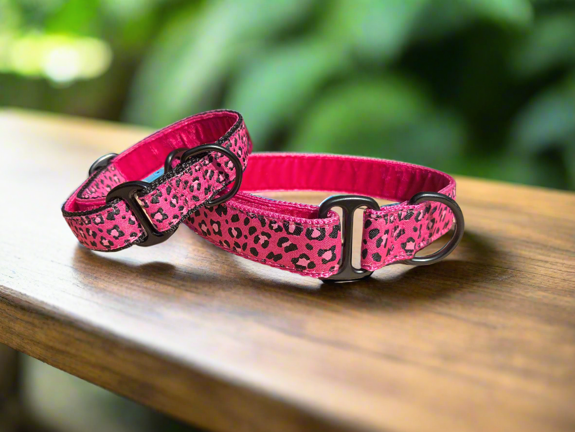 Pink Leopard Print House Collar (25mm)