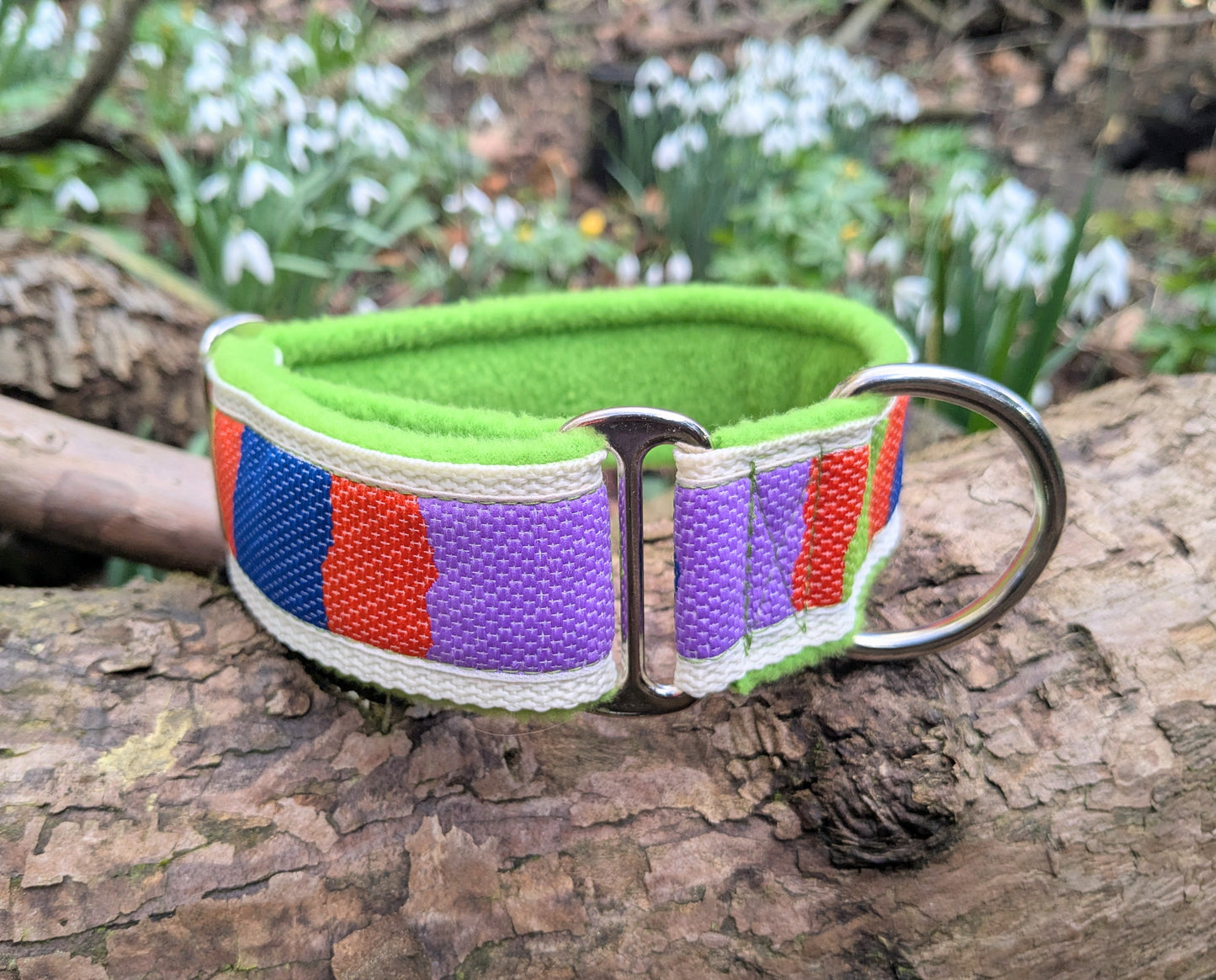 Colour Block House Collar 11-16"