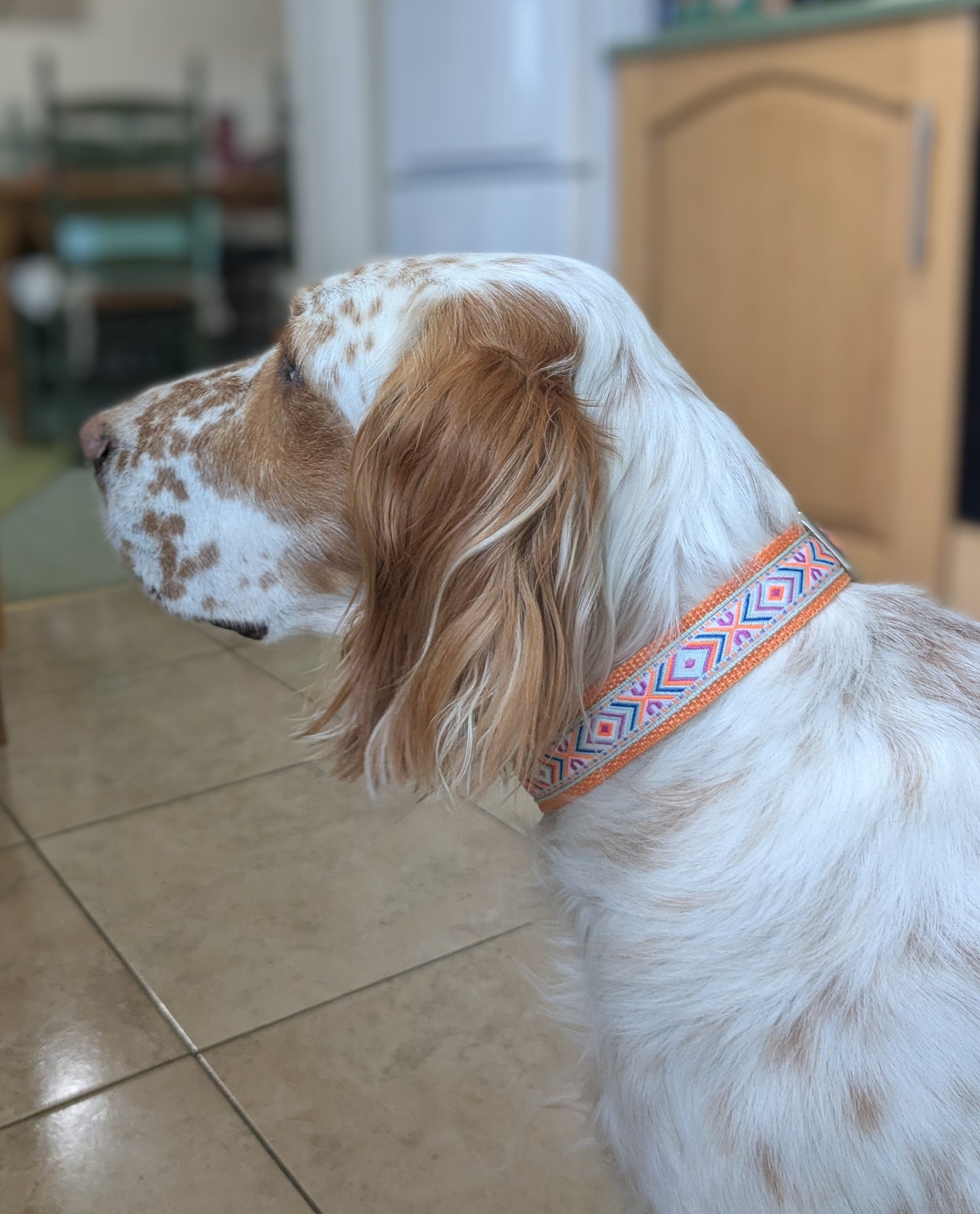 Orange/Sage Southwestern House Collar