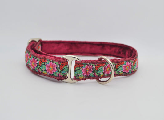 Fruit Flower Meadow House Collar