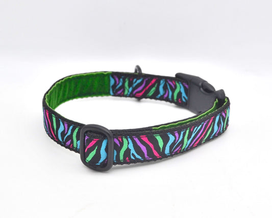 Multicoloured Zebra Print Pattern Collar 20mm