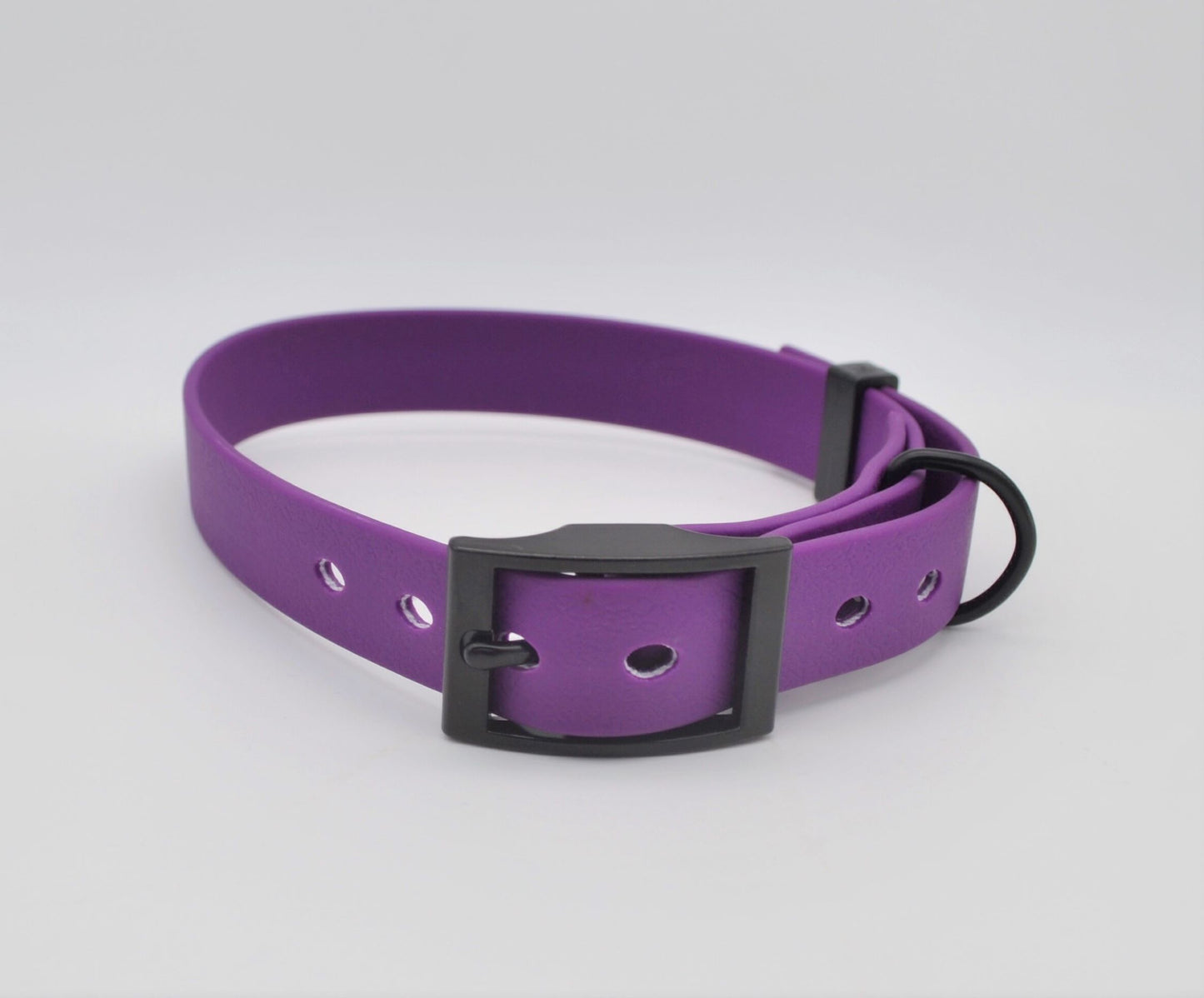 Purple Waterproof Coated Webbing Collar 20mm Brass, Silver or Black