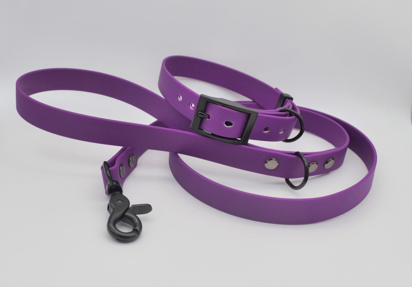 Purple Waterproof Coated Webbing Collar 20mm Collar & Lead Set Silver or Black