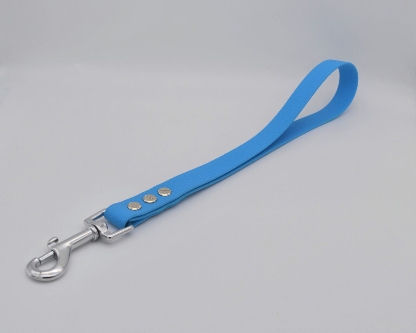 Waterproof Webbing Dog Training Lead Traffic Handle- Sky Blue 20mm