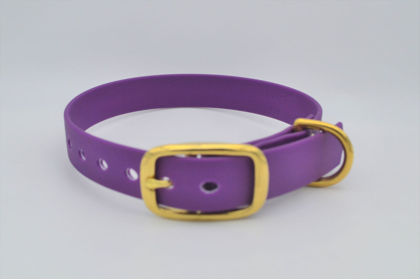 Purple Waterproof Coated Webbing Collar 20mm Brass, Silver or Black