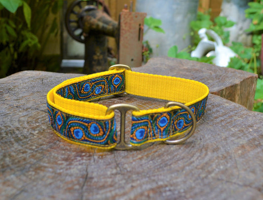 Peacock Feathers on Yellow House Collar (25mm)