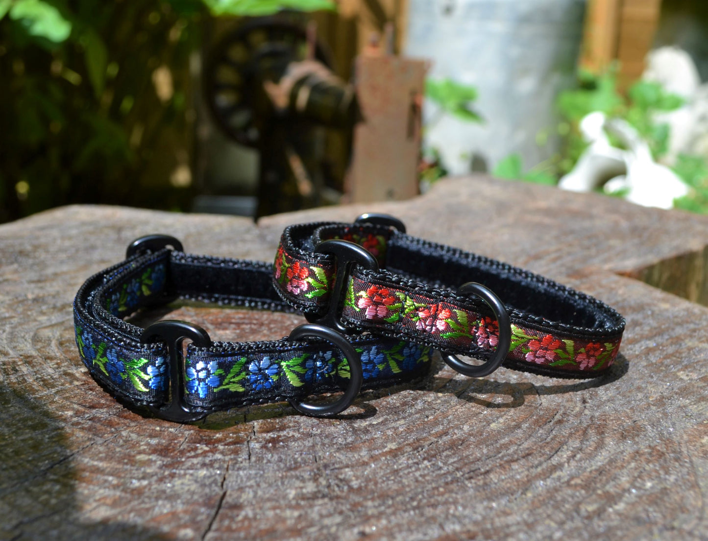 Red or Blue Roses on Black Pattern House Collar