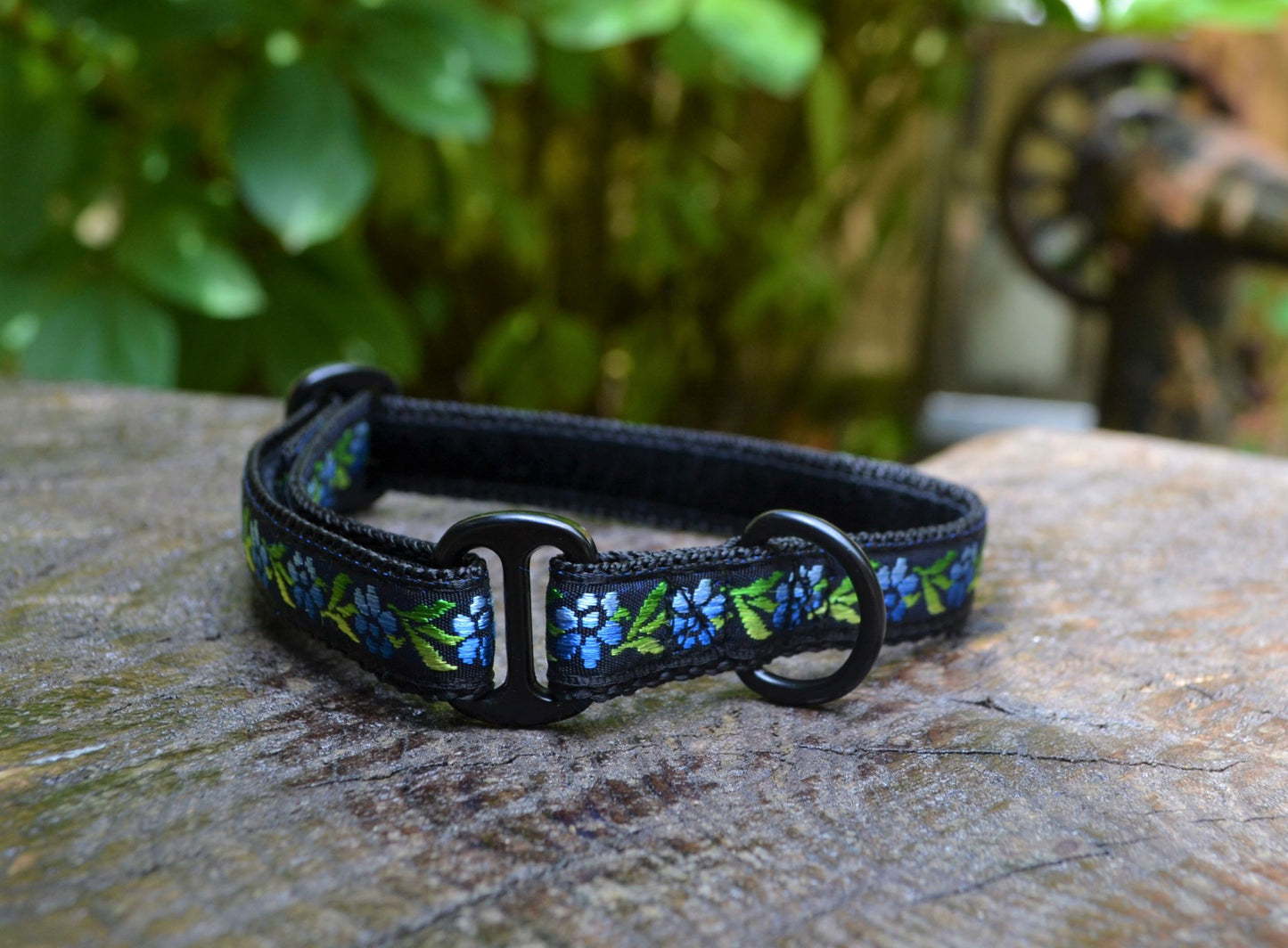 Red or Blue Roses on Black Pattern House Collar