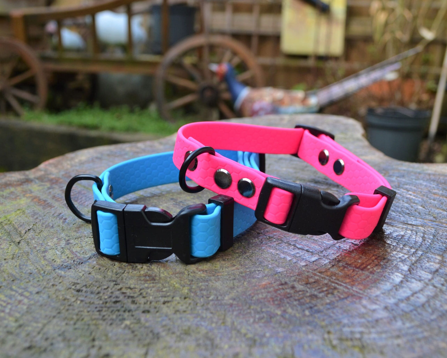 Neon Pink Waterproof Coated Webbing Buckle Collar 16mm