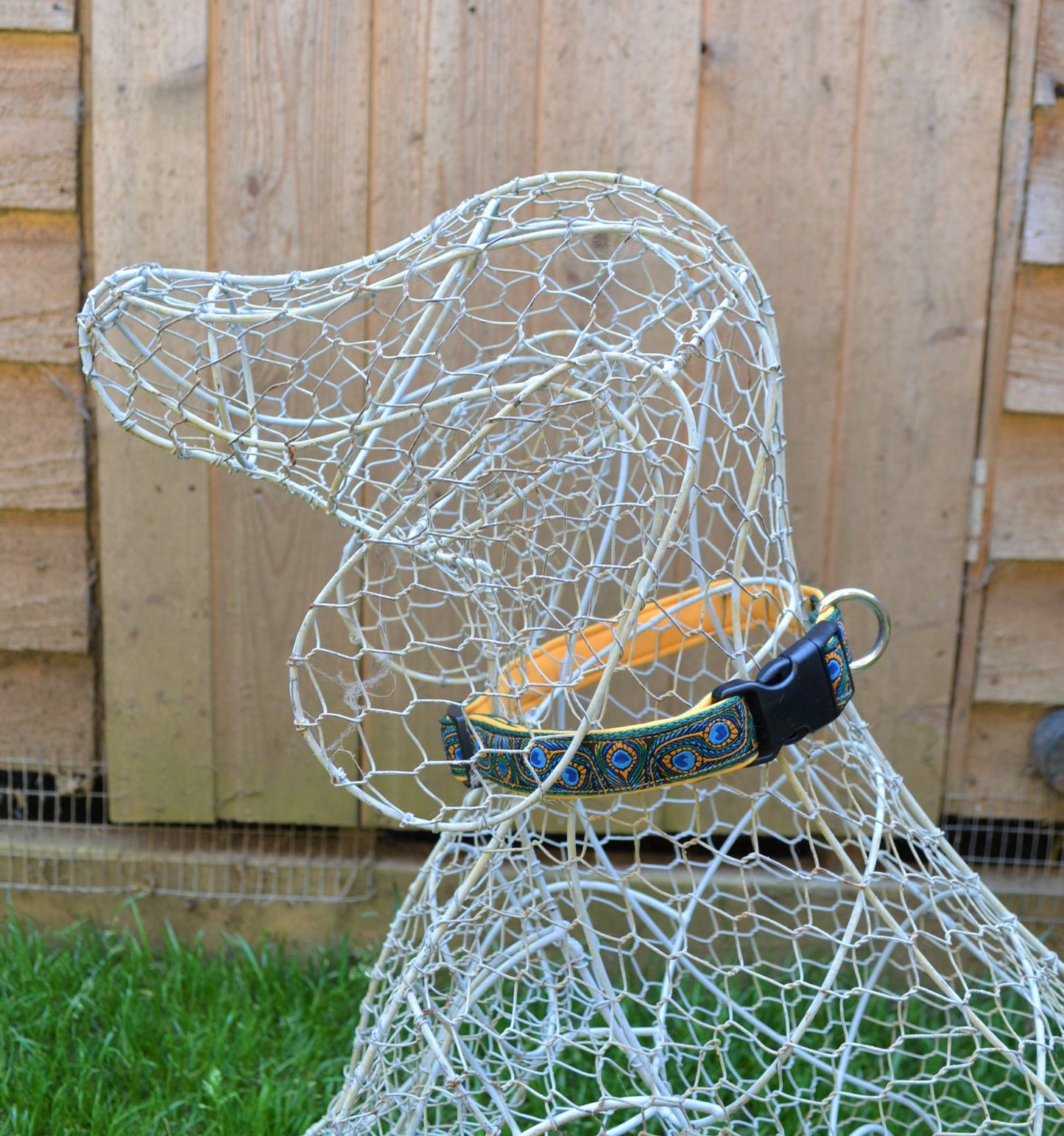 Peacock Feathers Pattern Collar (Neoprene)