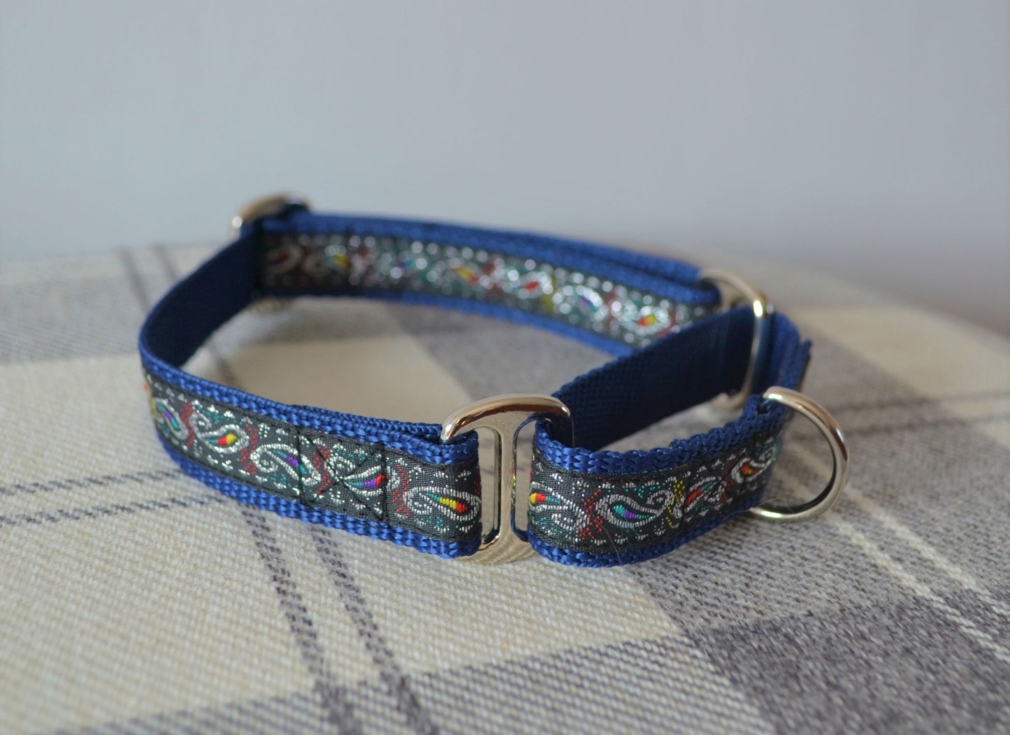 Black Paisley on Navy Martingale Collar