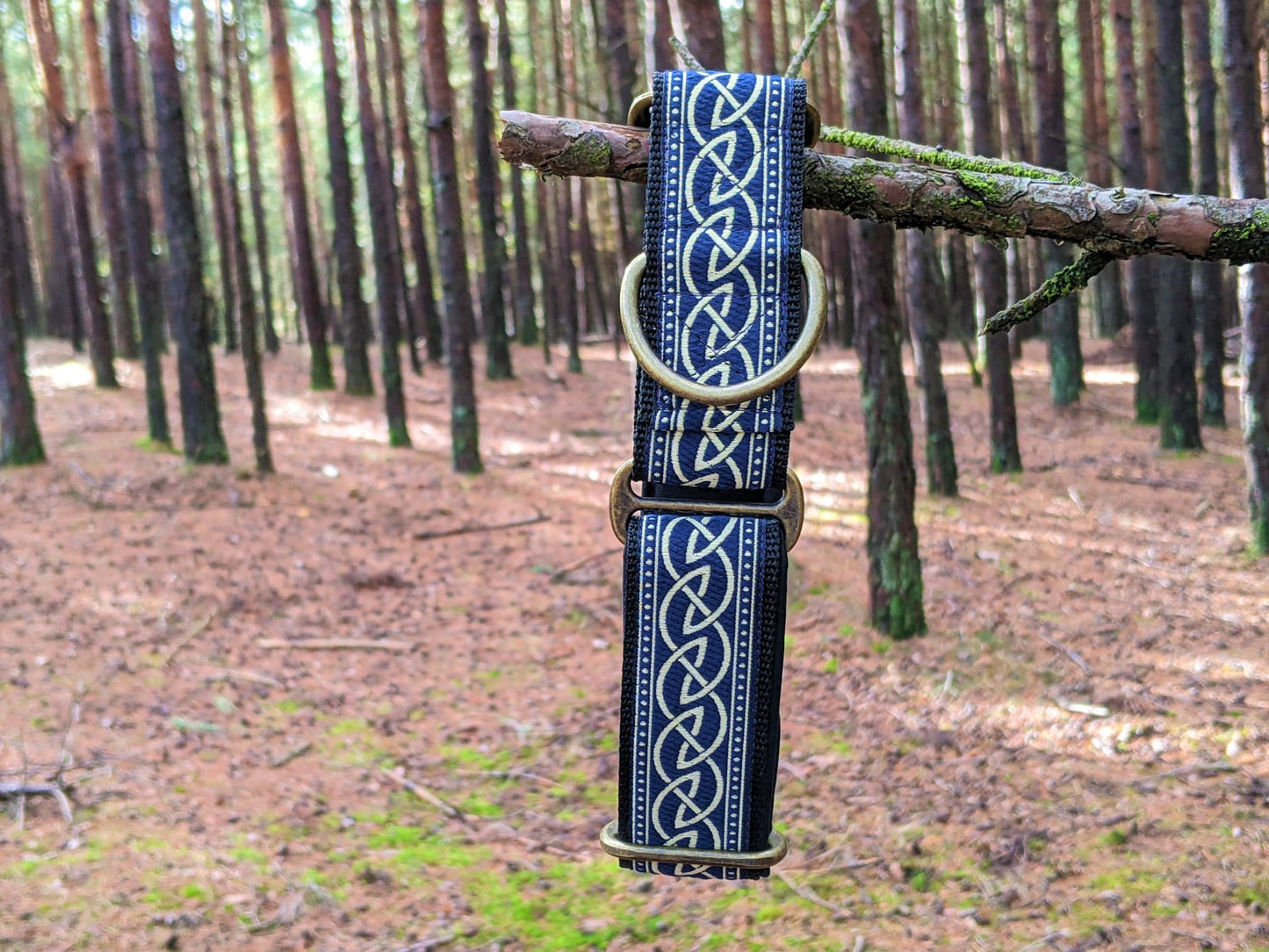 Blue Celtic Pattern 38mm Martingale Collar