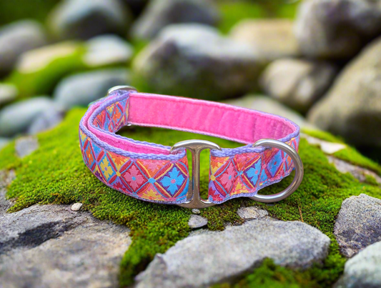Antwerp Flowers House Collar