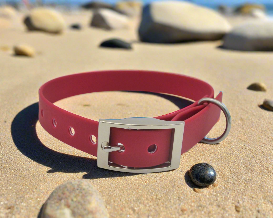 Burgundy Wine Waterproof Coated Webbing Collar 20mm Brass, Silver or Black Finish