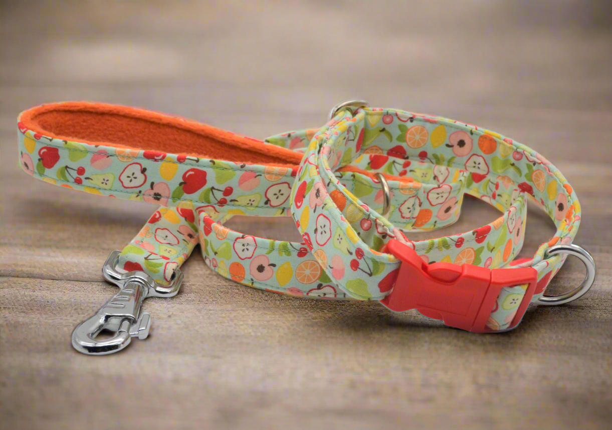 Fruit Fabric Lewis & Irene Collar & Lead Set