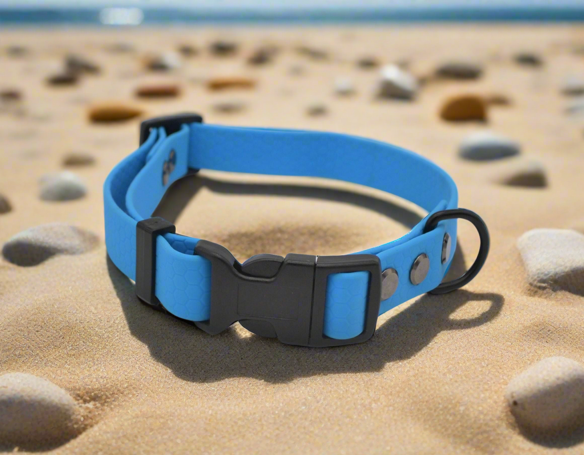 Sky Blue Waterproof Coated Webbing Buckle Collar 20mm