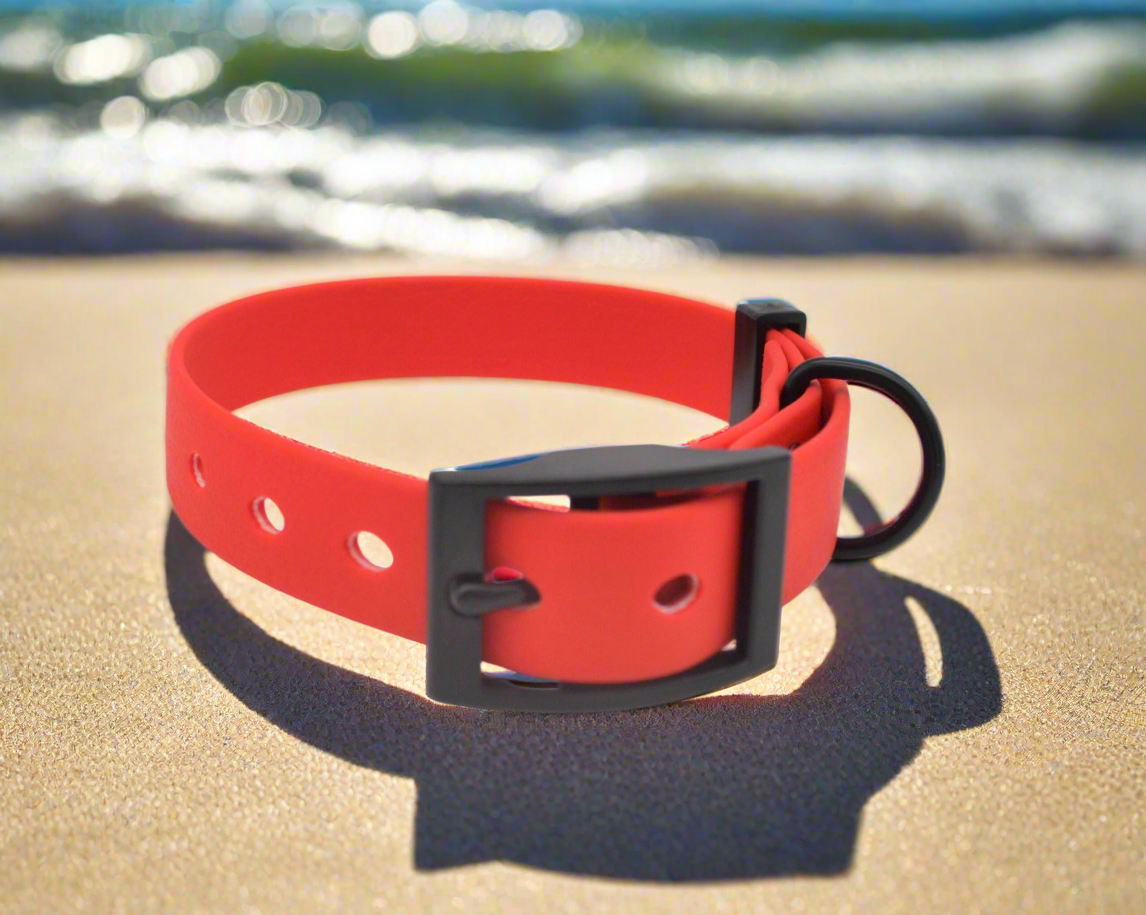 Red Waterproof Coated Webbing Collar 20mm Black, Silver or Brass