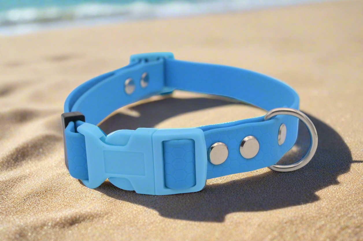 Sky Blue Waterproof Coated Webbing Buckle Collar 20mm