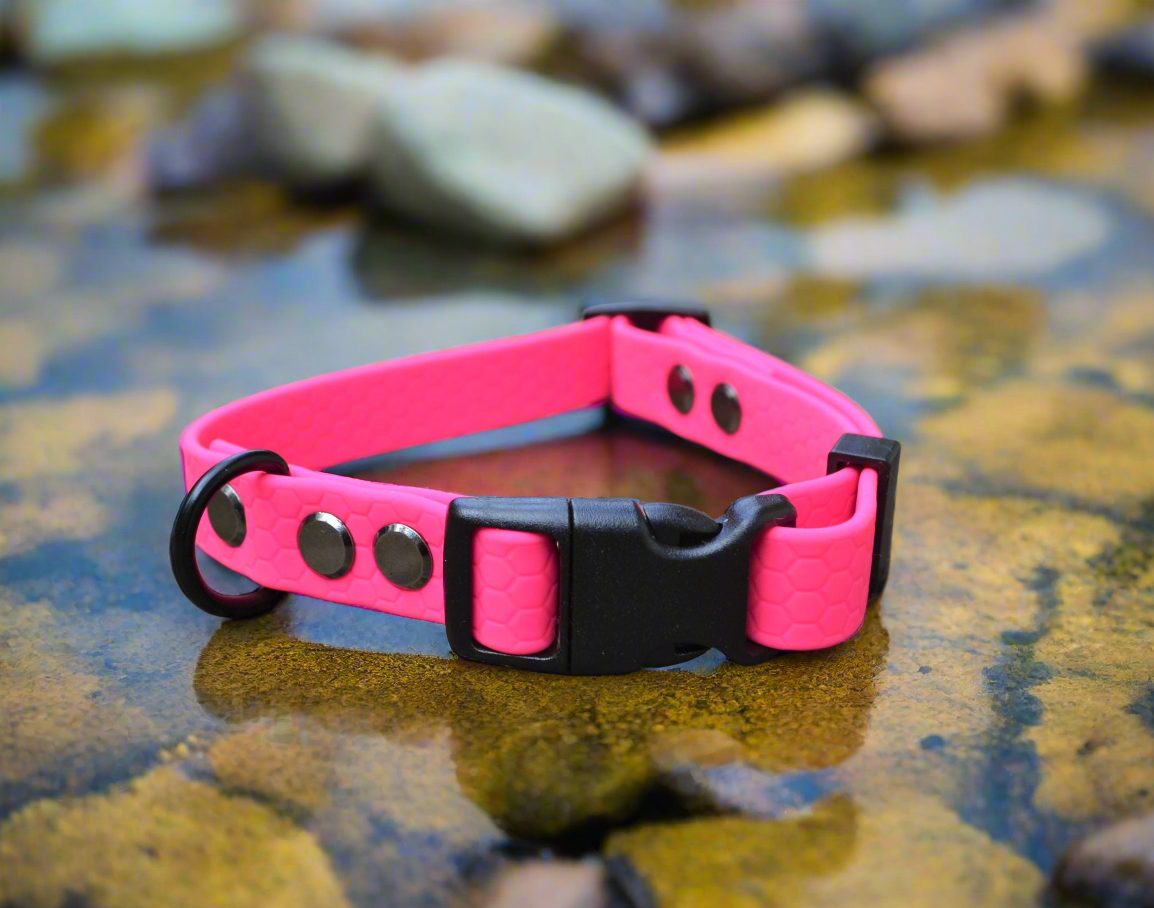 Neon Pink Waterproof Coated Webbing Buckle Collar 16mm