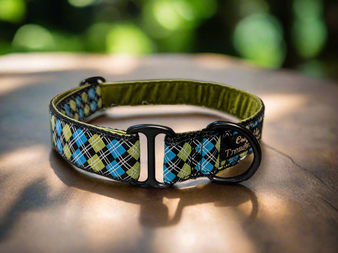 Blue/Green Argyle House Collar