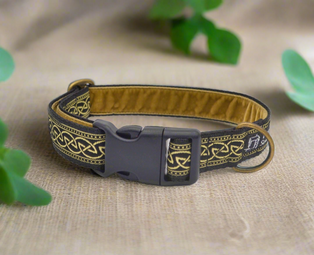 Black/Gold Celtic Knot Pattern Collar (Antifreeze)