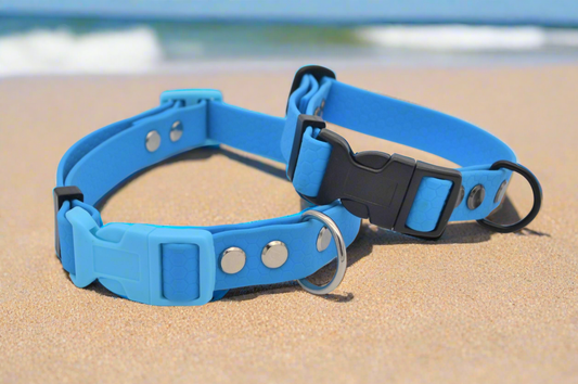 Sky Blue Waterproof Coated Webbing Buckle Collar 20mm