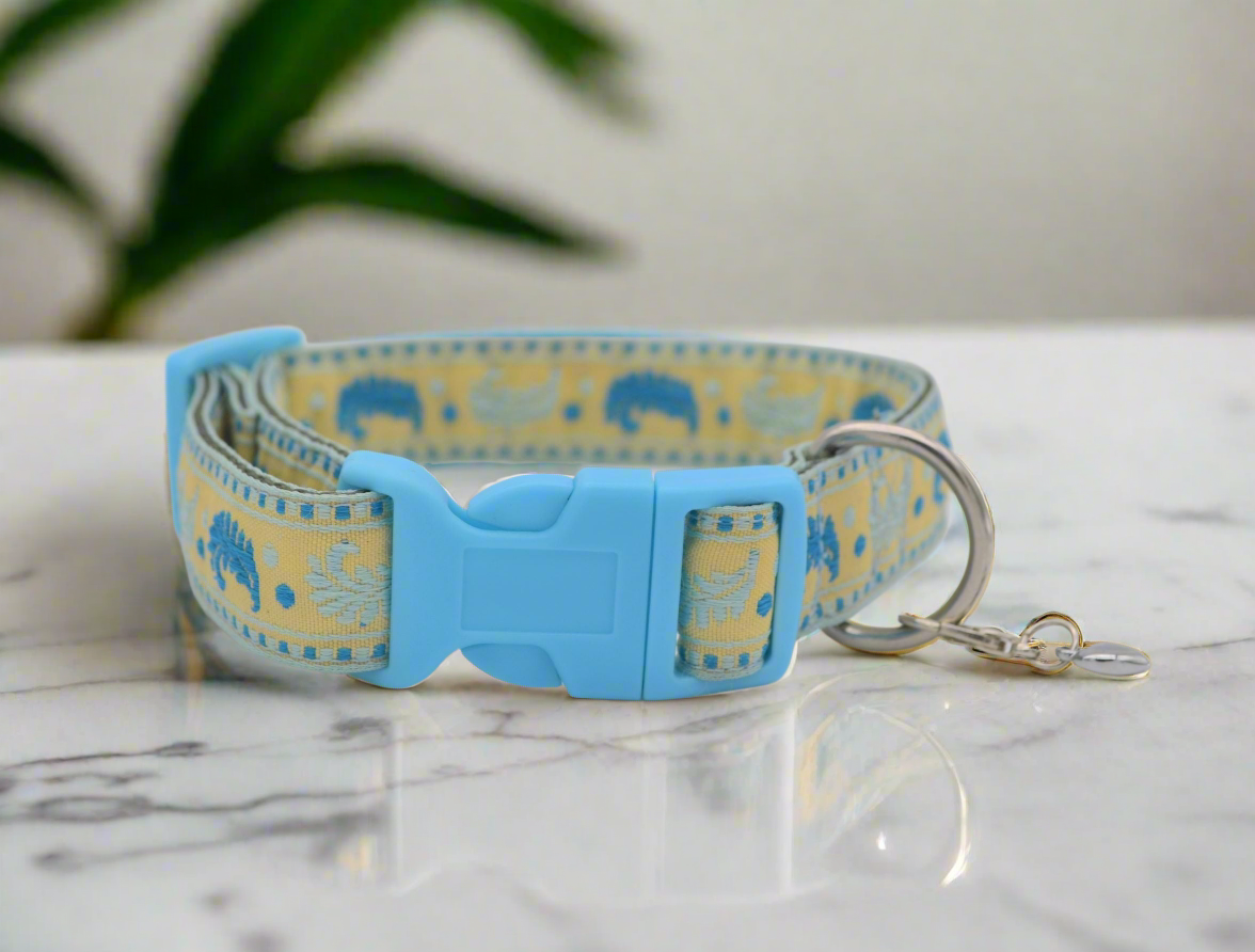 9-13" 20mm Blue Feathers Pattern Collar & Lead Set