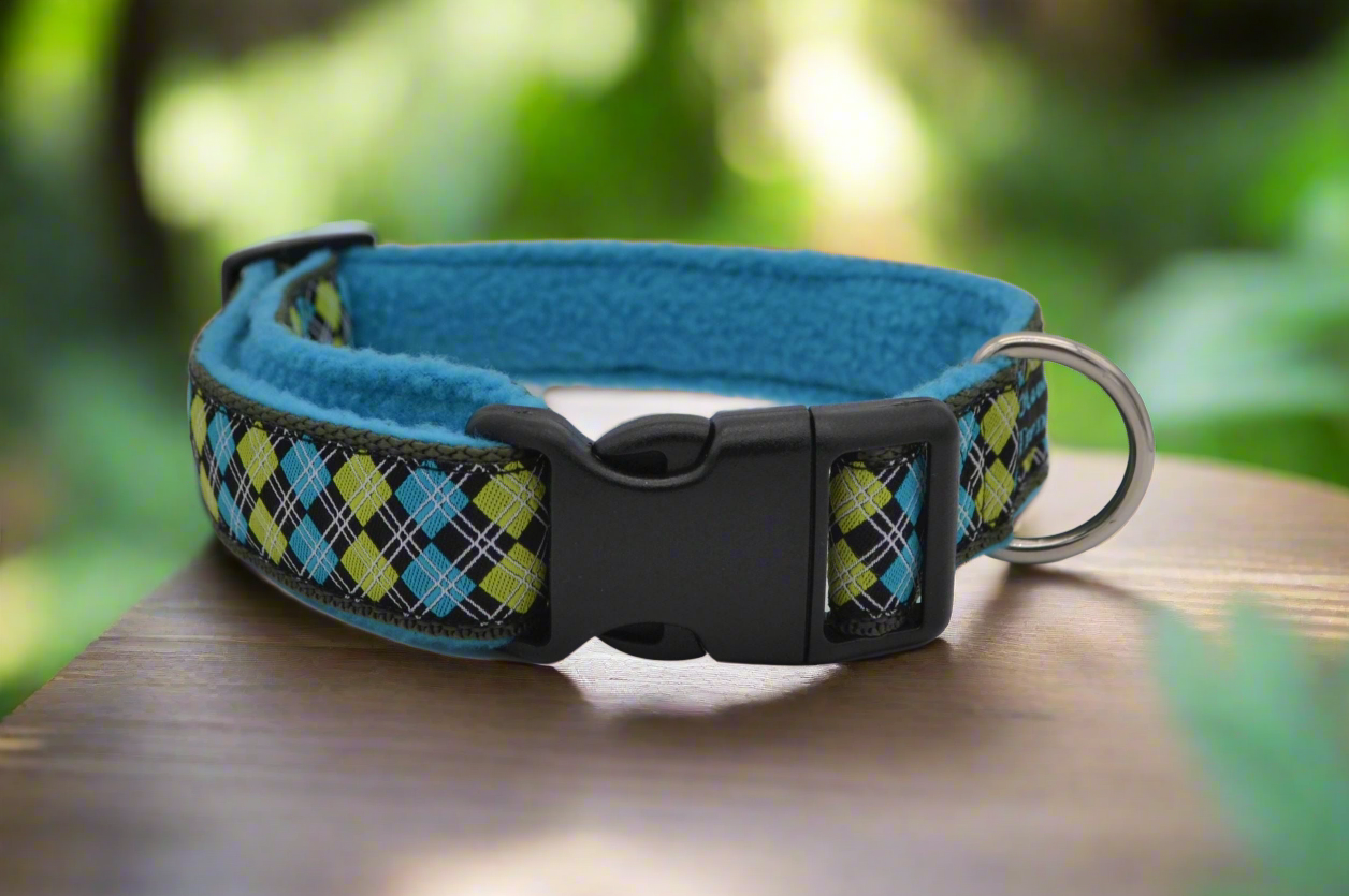 Blue/Green Argyle Pattern Collar