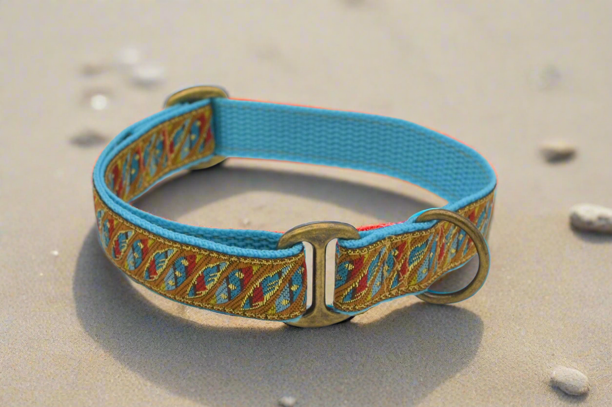 Blue/Gold Rainbow House Collar