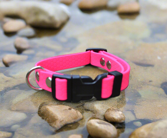 Neon Pink Waterproof Coated Webbing Buckle Collar 16mm