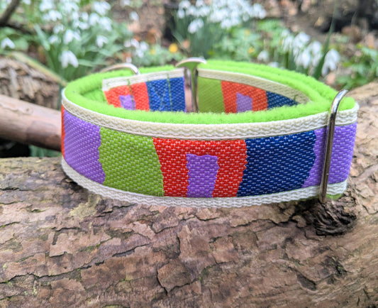 Colour Block House Collar 11-16"