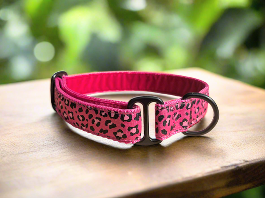 Pink Leopard Print House Collar (25mm)