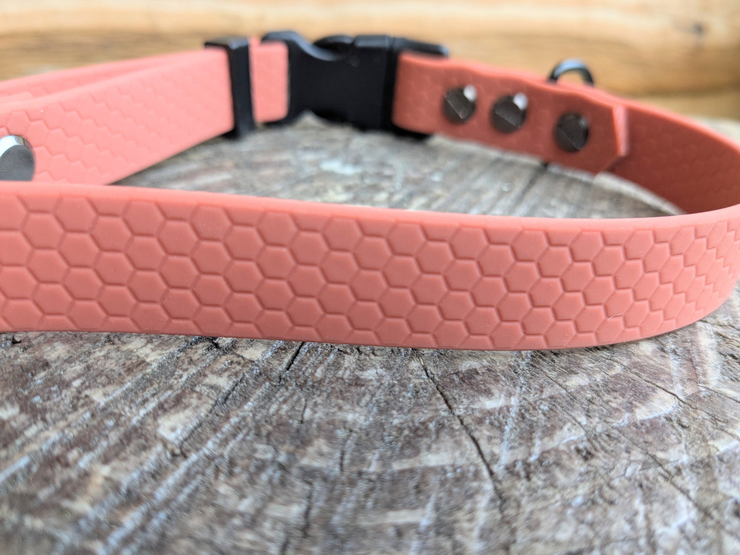 Apricot Brandy Waterproof Coated Webbing Buckle Collar 20mm